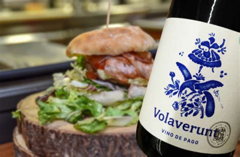 volaverunt vino|2020 Pago Aylés Volaverunt 